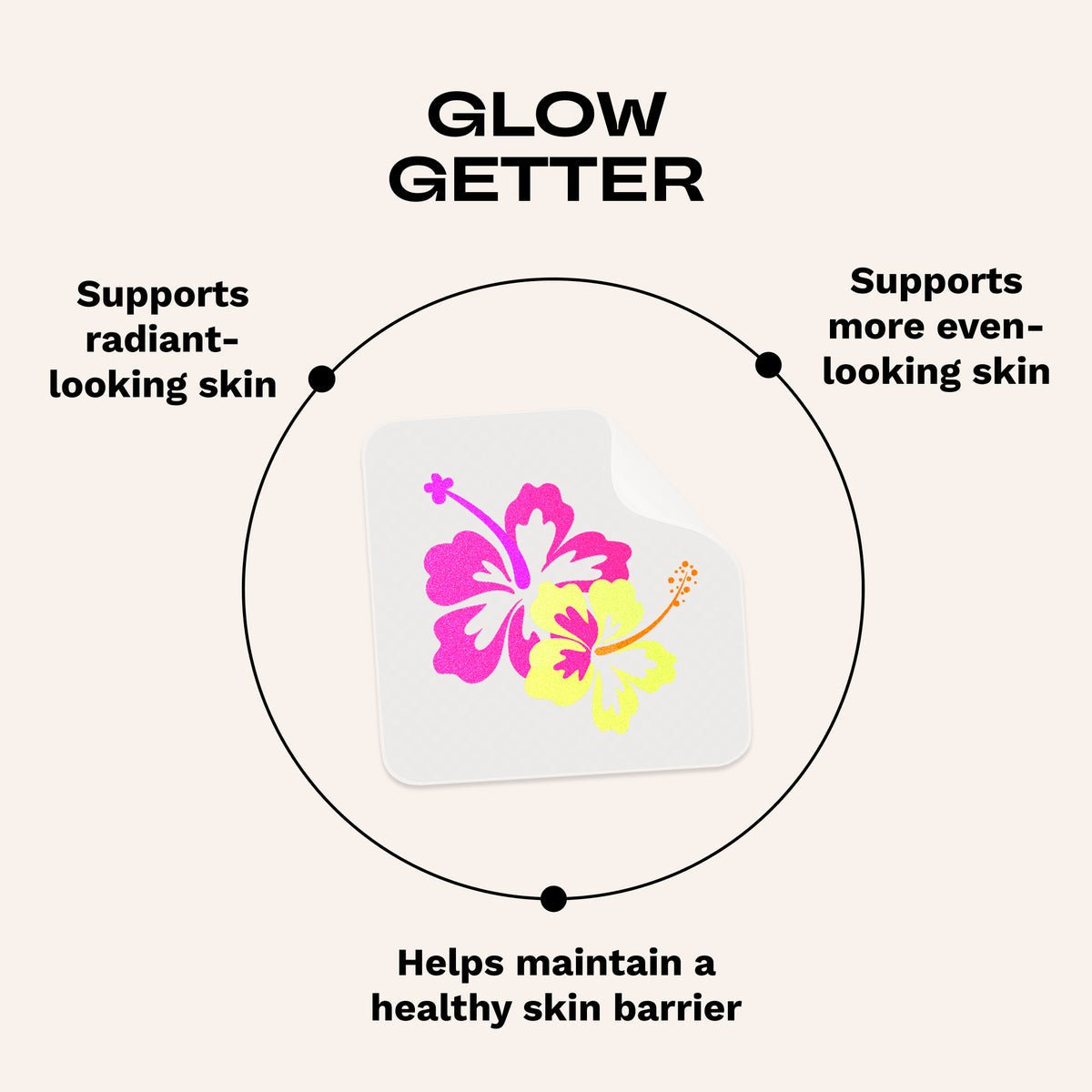 SKIN SUPPORT (2 design)